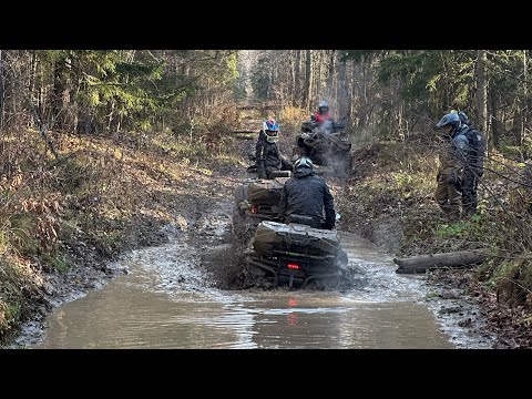Видео: Покатушки на квадриках 