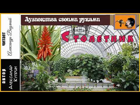 Видео: А. Куприн. Столетник (без музыки) - чит. Александр Водяной