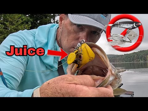 Видео: Приманка для ловли на поверхности воды, которая сейчас сокрушает окуня