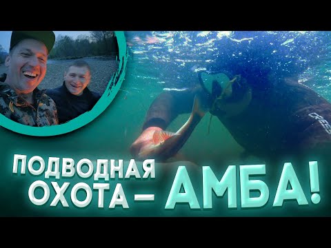 Видео: Подводная охота -Амба!