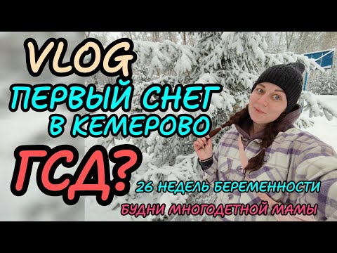 Видео: Первый снег ❄️ГСД? 26 недель 6й беременности 🤰🏼