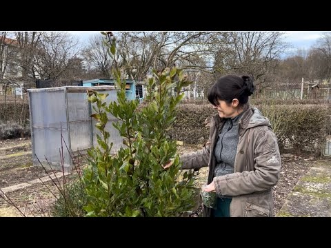Видео: Дача в Германии.