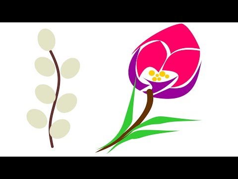 Видео: CorelDRAW - Бутон Цветка, Веточка Вербы