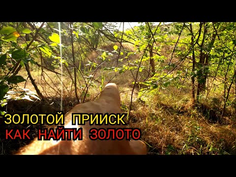Видео: ЗОЛОТОЙ ПРИИСК КАК НАЙТИ ЗОЛОТО
