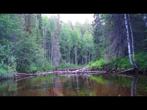 Видео: Сплав по таёжным рекам Ухтарка, Тобысь, Ухта. Часть 1 - Ухтарка