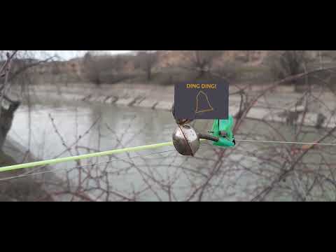 Видео: Балик ови Самарканд " Даргом " 11.03.2024 й