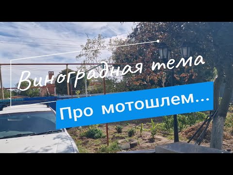 Видео: Ветра кубанские // Виноградная тема // Про мотошлем...