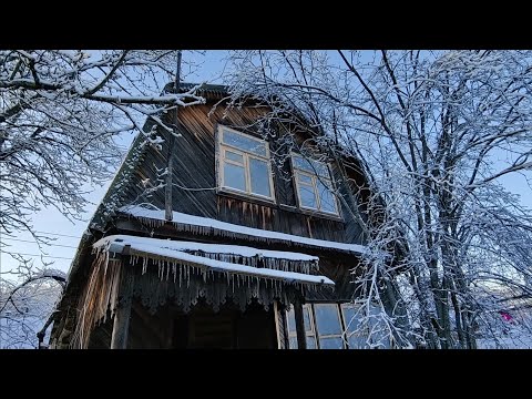 Видео: СНТ Аэропорт. 75кв, 4 сот.