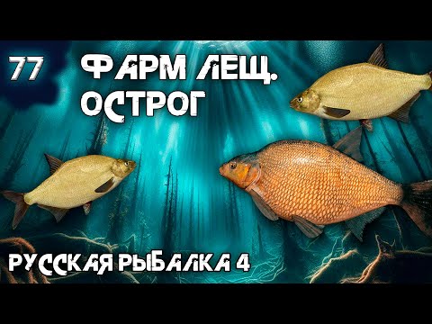 Видео: Русская рыбалка 4 - Острог. Отличный фарм Леща на  новом месте ! [#77]