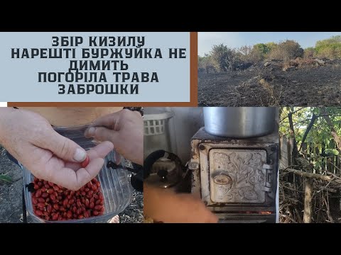 Видео: #79 Обірвала кизил/Нарешті буржуйка не димить/Палять траву обережно/Раніше тут були  людські городи