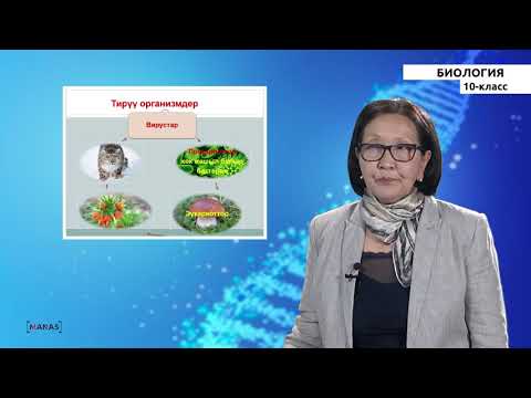 Видео: 10 класс - КГ - Биология - №1 - Жалпы биологияга киришүү