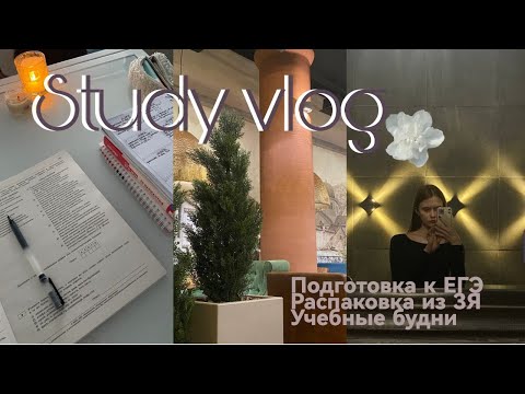 Видео: подготовка к ЕГЭ за 2 месяца👩🏽‍💻