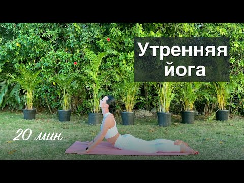 Видео: Утренняя йога. Йога практика 20 минут.