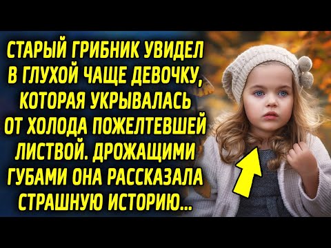 Видео: Старый грибник увидел девочку, которая укрывалась пожелтевшей листвой. Позже она рассказала историю…