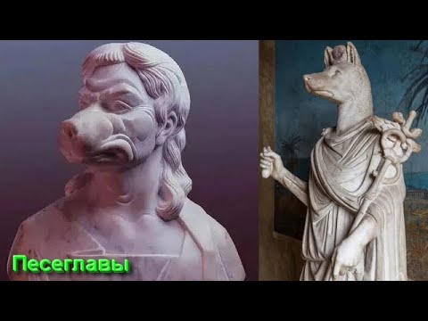 Видео: Ответы на Вопросы и Комментарии от 02.11.25