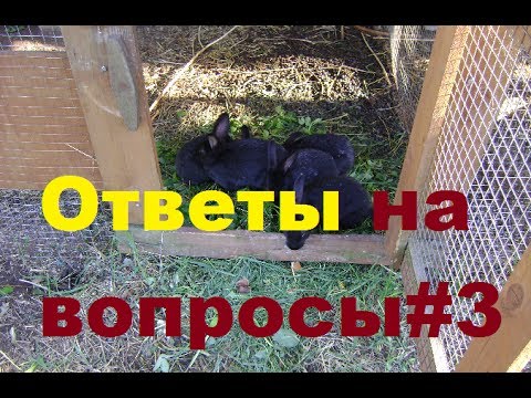 Видео: Ответы на вопросы#3//Ступени/Реанимирую качели/Кроличьи вольеры