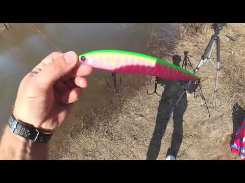 Видео: Сравниваем воблер Kosadaka Kanata XS 160F и Kanata от BEARKING, обе копии достойно работают!