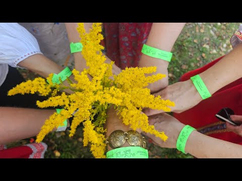 Видео: Хотьково-Радонеж-Кочевник-Семхоз. Восьмой этап Дороги в Лавру  #дорогавлавру