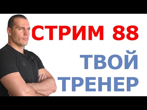 Видео: Тимко Илья: ответы на ваши вопросы (стрим №88)