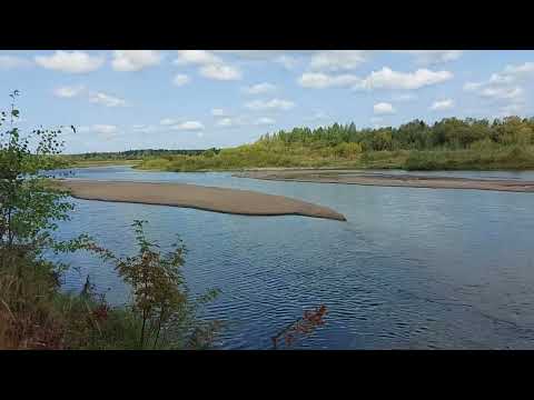 Видео: Река Уфтюга.Uftyuga çayı