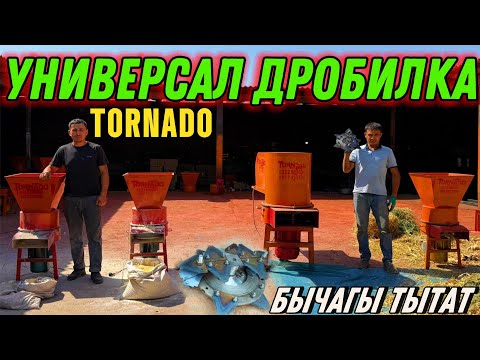Видео: ЖЕМ ЧӨП БЕДЕ ПАЯ БААРЫН ТАЛКАЛАЙТ 💪🏻 #байтв 
