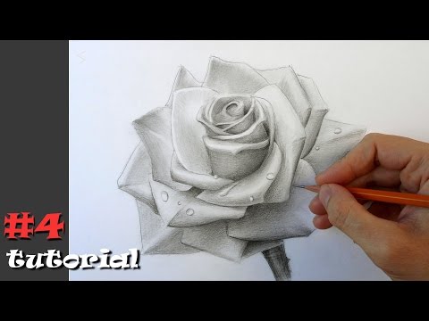 Видео: Как нарисовать розу.  Учимся рисовать розу карандашом.