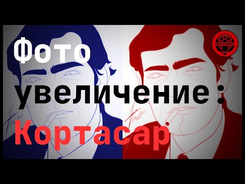 Видео: Фотоувеличение: КОРТАСАР.