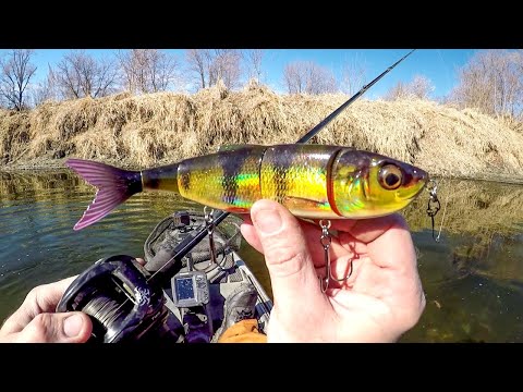 Видео: ЭПИЧЕСКАЯ дневная рыбалка. Речные ЗВЕРИ!