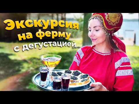Видео: Экскурсия на ферму с дегустацией