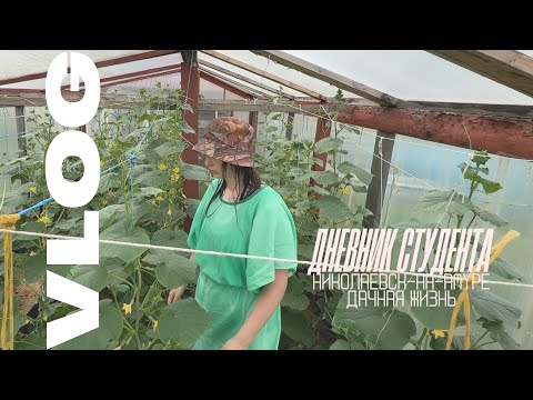 Видео: Мои летние каникулы Николаевск-на-Амуре Дачная жизнь ВЛОГ #travel