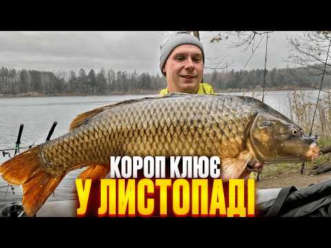 Видео: ЩО це за кльов у листопаді?! Як це пояснити?!
