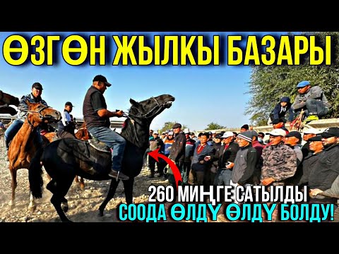 Видео: АТТАР ЧЕКЕДЕН САТЫЛЫП ЖАТАТ 🤯#байтв