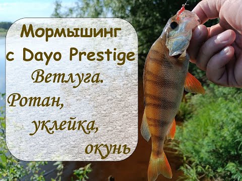 Видео: Мормышинг с Dayo Prestige. Ветлуга. Ротан, уклейка, окунь