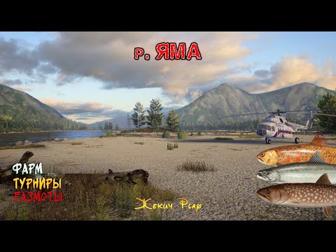 Видео: Охота за трофеями на спиннинг! Нижняя Тунгуска и Яма | RR4