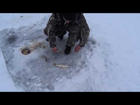 Видео: Красноярское море февраль 2016г! зимняя рыбалка в БД