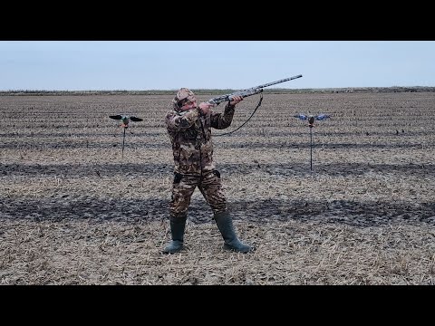 Видео: Охота на Кубани на утку на лиманах и рисовых полях - 2024 11 12.