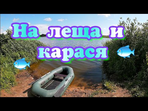 Видео: На леща и карася с резинками