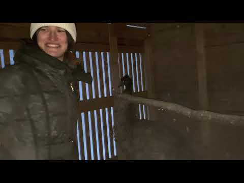 Видео: Вера и Ксюша  из Вороньего гнезда заскочили на огонёк.