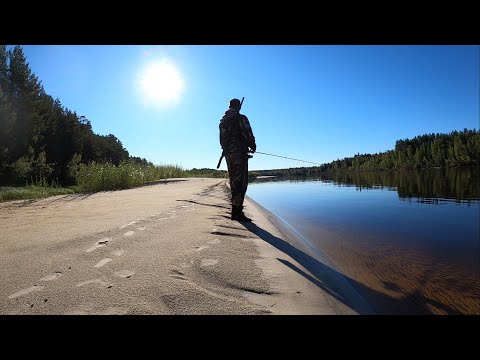 Видео: Август и щедрая Югорская тайга