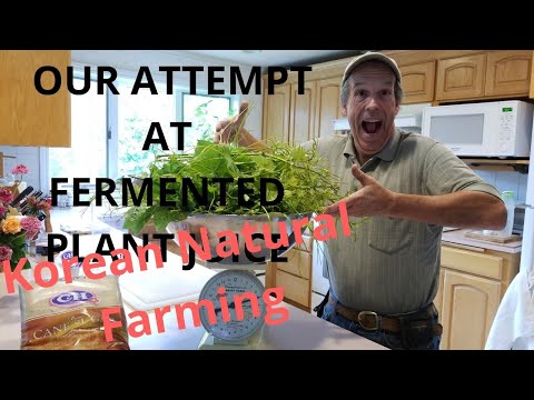 Видео: Наша попытка создания FPJ для корейского натурального земледелия