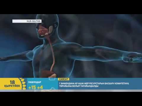 Видео: ДНҚ жайлы не білесіз? | Сағыныш Ертай