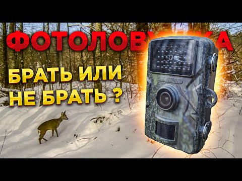 Видео: Не ПОКУПАЙ 📷 фотоловушку, пока не посмотришь это видео! Дешевая фотоловушка из Китая - DL001 (обзор)