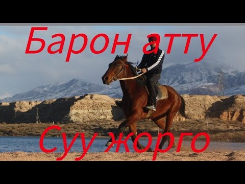 Видео: Жорго салыш 10 10 2013 чон жорго