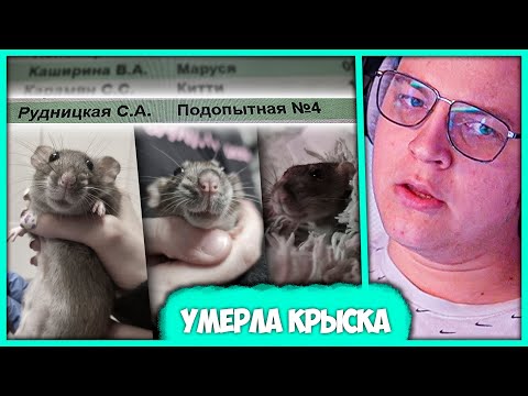Видео: Пятёрка про Конец Эры Крыс 🐀 Подопытная №4 отправилась в Крысиный Рай (Нарезка стрима ФУГА TV)