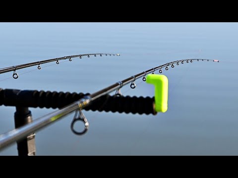 Видео: РИБОЛОВ на РЕКА с ФИДЕР в РЪКА - хванах СУПЕР РИБИ / River Feeder Fishing