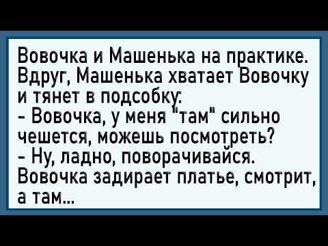 Видео: Как Вовочка почесал Машеньке! Сборник свежих анекдотов! Юмор!