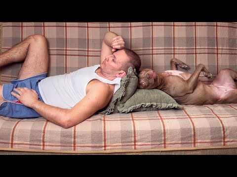 Видео: Спать надо с женой, а не с собакой!