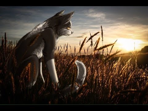 Видео: Звёздный Луч - Воин Ветра