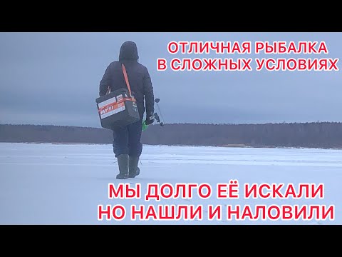 Видео: ИСКАЛИ рыбу ПОЛ ДНЯ и НАШЛИ / РЫБАЛКА на МОЖАЙСКОМ Водохранилище