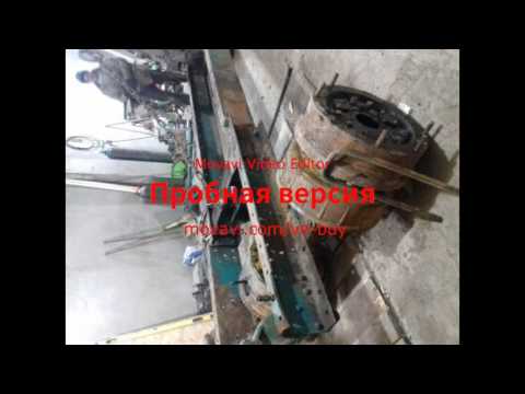 Видео: Бизон фото галирея